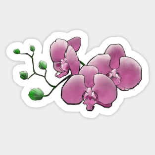 pink orchid flowers Sticker